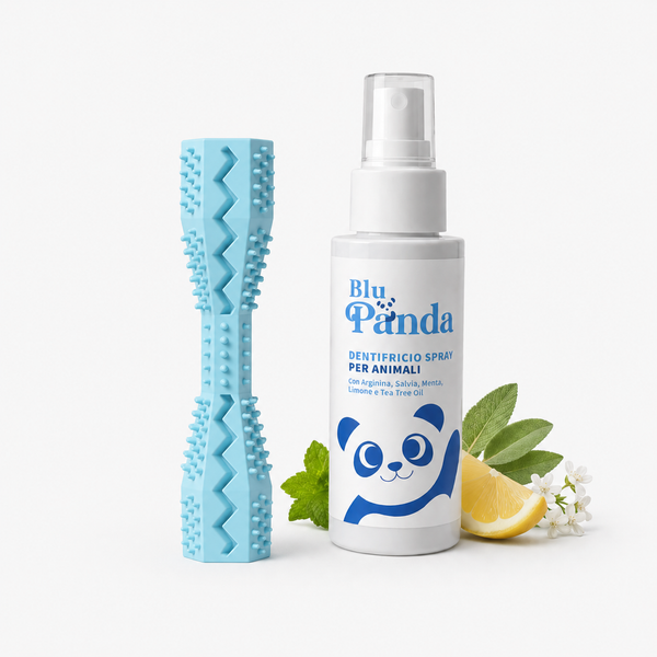 Kit Denti Puliti