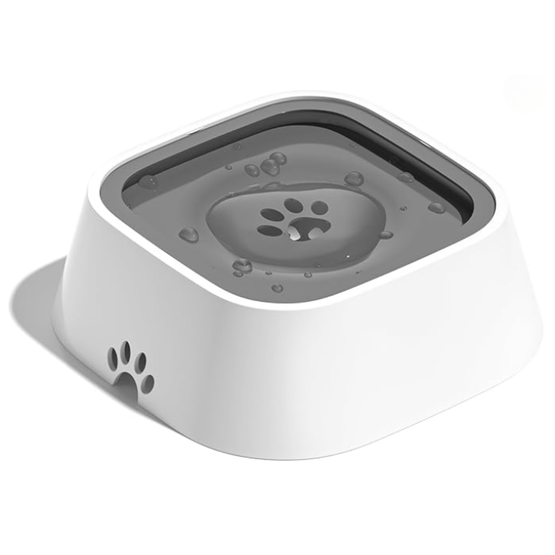 Ciotola Intelligente Cane